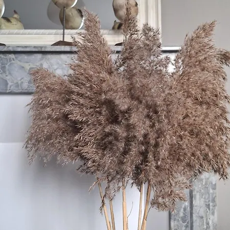 Casa de Férias L'iris Au Coeur De Pour 4 Pers *